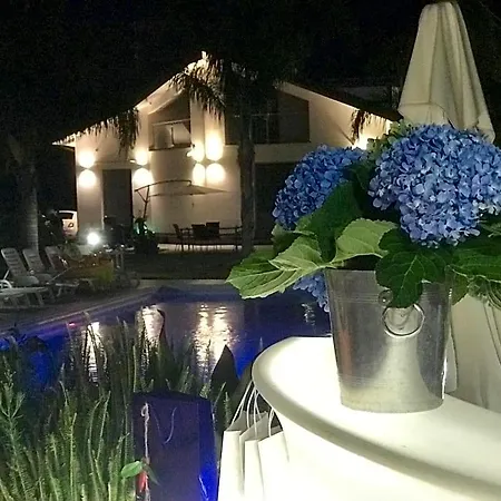 Elena Bed & Breakfast